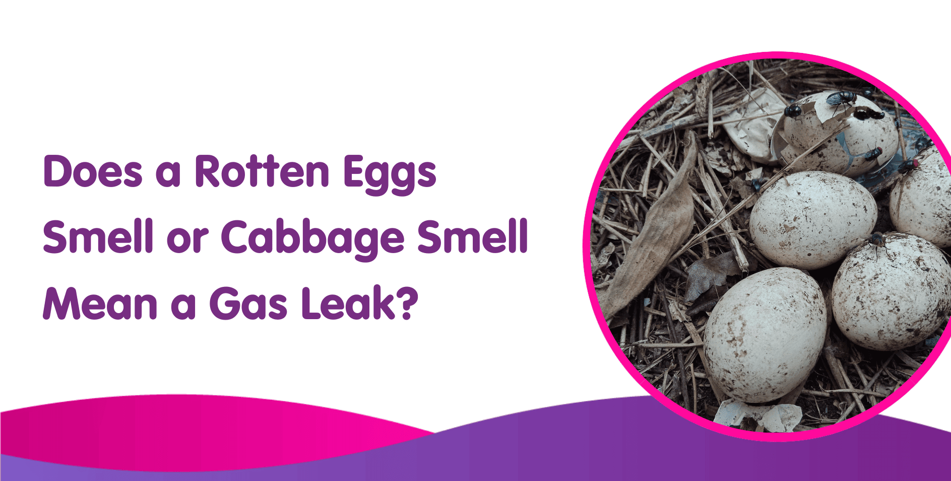 Why do Rotten Eggs Smell Like Sulfur?